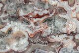 Polished Crazy Lace Agate Slab - Mexico #227614-1
